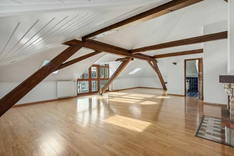En quête d'un spacieux appartement à deux pas du centre-ville ? (7)