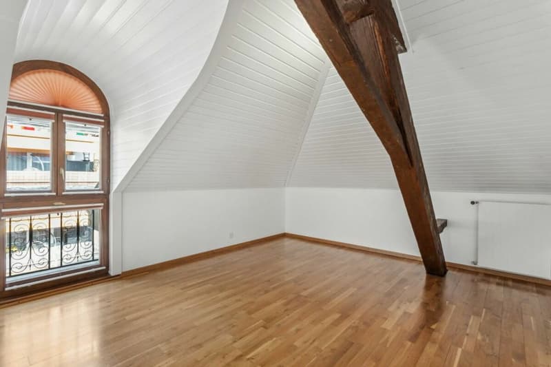 En quête d'un spacieux appartement à deux pas du centre-ville ? (6)