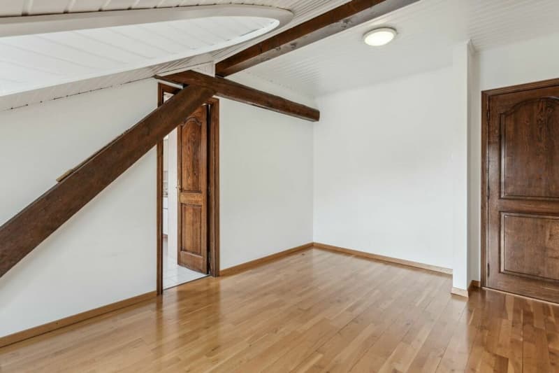 En quête d'un spacieux appartement à deux pas du centre-ville ? (4)