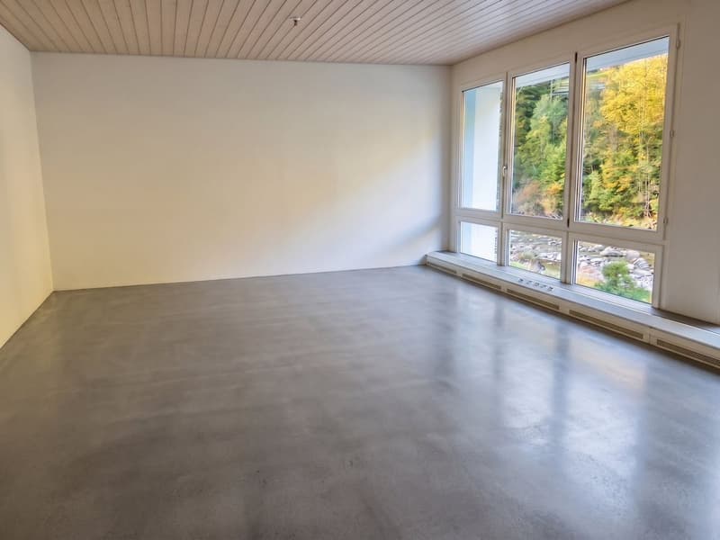 Attraktive Gewerbeflächen zwischen Zürich und Zug - flexibel nutzbar (4)