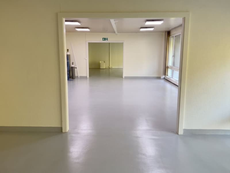 Attraktive Gewerbeflächen zwischen Zürich und Zug - flexibel nutzbar (5)