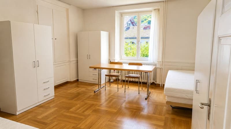 Freistehendes Einfamilienhaus mit grosszügigem Garten in Luchsingen (8)