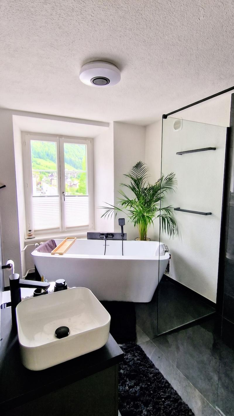 Exklusive 4.5 Zimmer-Wohnung mit 118m2 Wohnfläche - komplett renoviert in Glarus Süd (6)