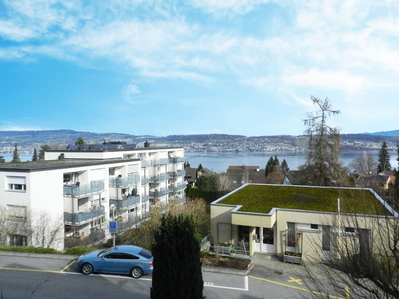Ankommen und wohlfühlen mit Blick auf den Zürichsee (1)