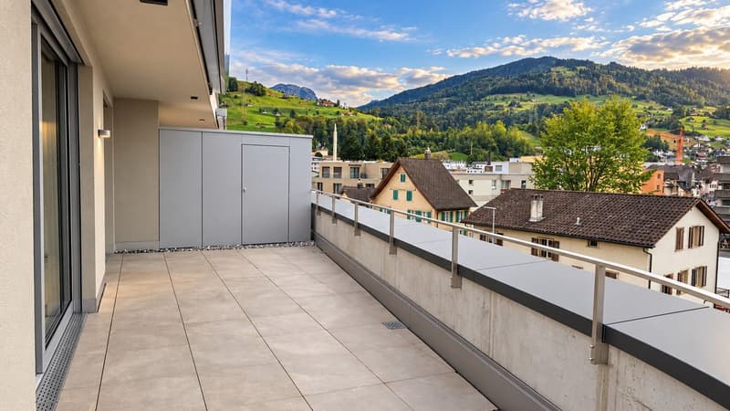 Gepflegte 2.5-Zimmer Attikawohnung mit Aussicht in Siebnen (3)