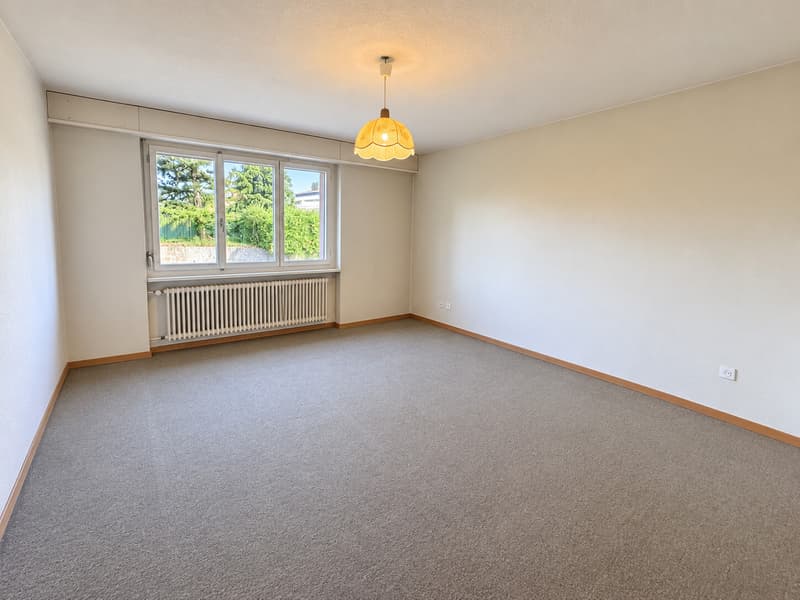 Zimmer2