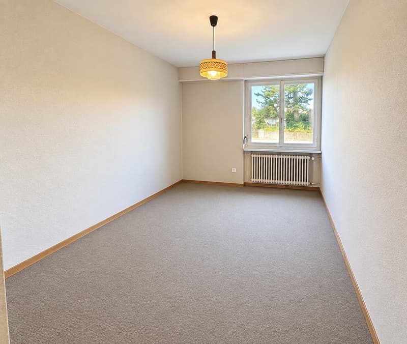 Zimmer1