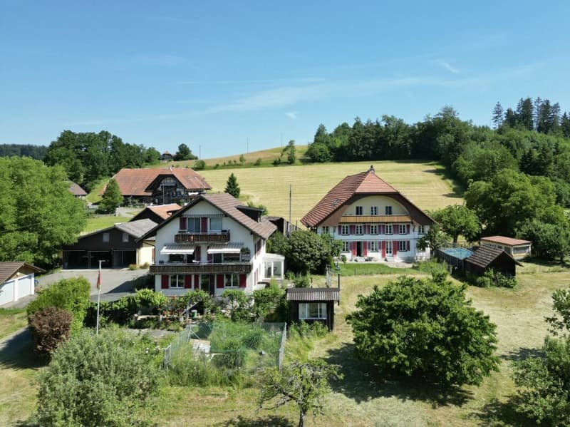 Einzigartiges Bauernhaus-Ensemble an idyllischer Lage mit viel Platz für Ihre Visionen (1)