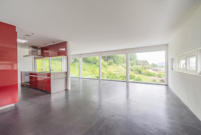 Puristisches 7.5-Zimmer-Einfamilienhaus auf 1'660 m² Traumgrundstück (2)