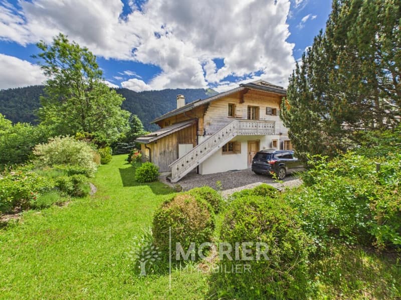 Superbe chalet à Rossinière (7)