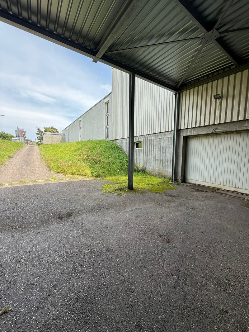Fahren Sie direkt rein! 62 m² Top-Fläche in Abtwil SG zu vermieten (1)