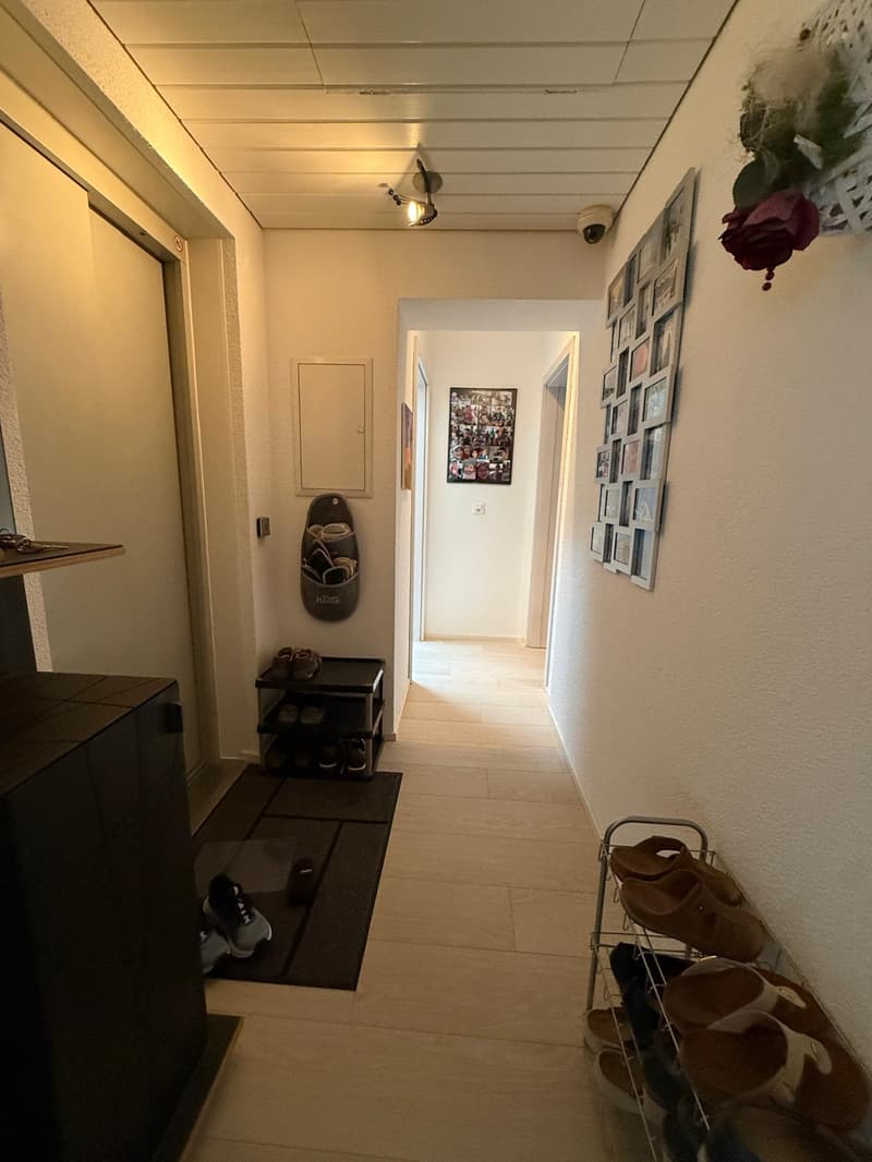 Attraktive 4-Zimmer-Dachwohnung mit Liftzugang direkt in die Wohnung (6)
