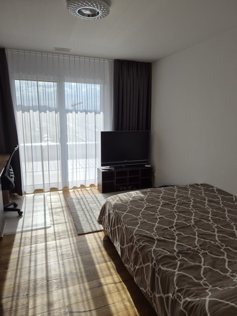 Moderne 4.5-Zimmer Attikawohnung mit Landblick (8)