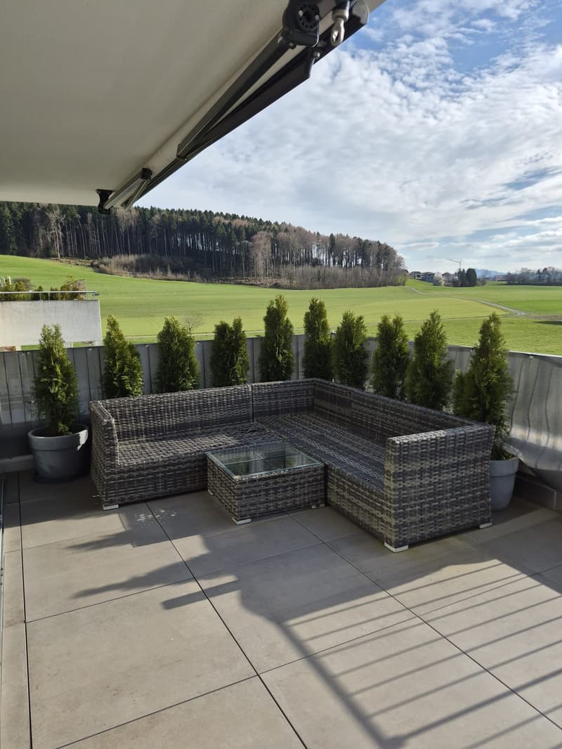 Moderne 4.5-Zimmer Attikawohnung mit Landblick (12)