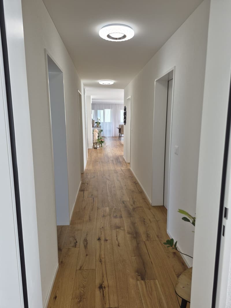 Moderne 4.5-Zimmer Attikawohnung mit Landblick (6)