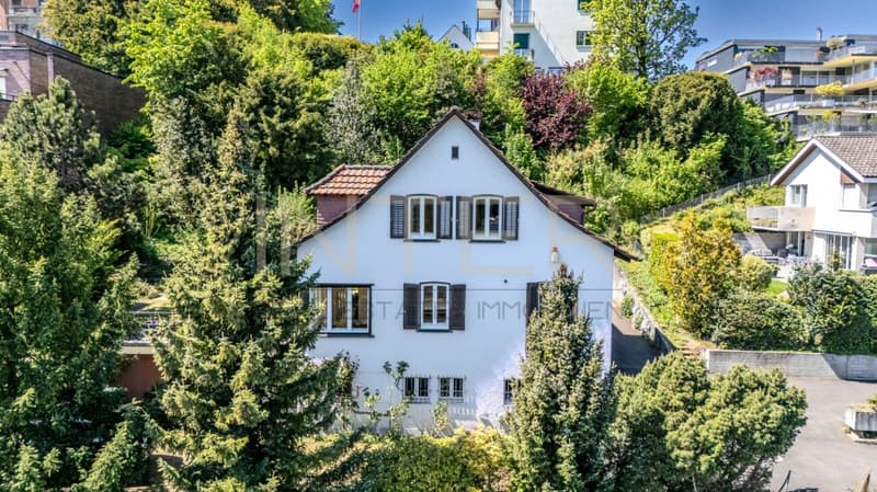 Stilvolles freistehendes 6.5-Zi-EFH mit 981 m² Grundstück, Seesicht und Entwicklungspotenzial in Oberrieden (9)