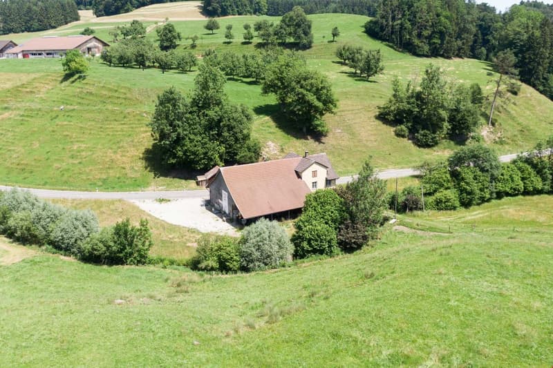 House on a hill, surrounded by green fields and trees, gravel driveway, distant buildings, aerial view
