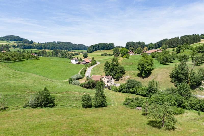 House on hillside with greenery and mountains in the background.