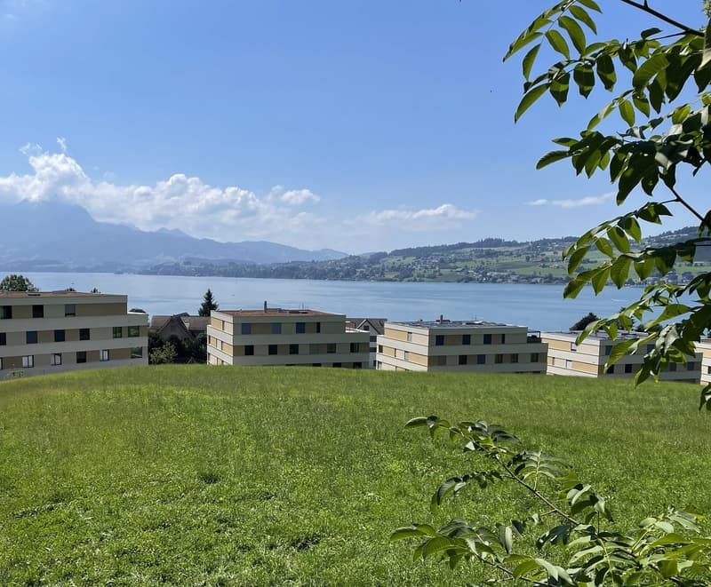 Exklusive 5.5-Zimmer-Einfamilienhäuser (DEFH) - Steinmatt am Rubibach (11)