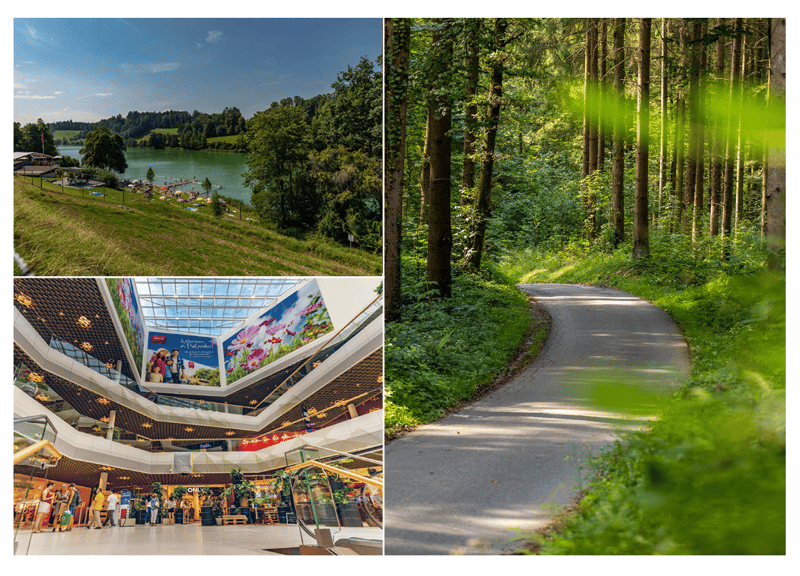 Bilder der Umgebung (Rotsee, Wege in der Natur, Mall of Switzerland)