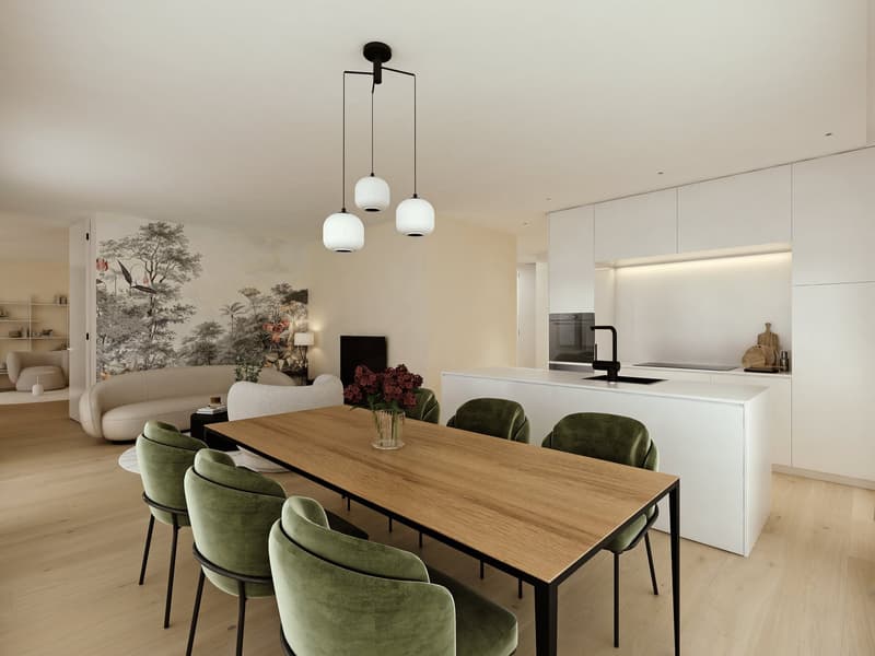 New and superior furnished apartments / Hochwertig möblierte Wohnungen (Erstbezug) (1)