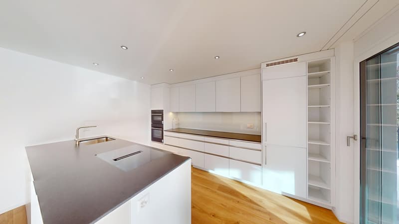Modern kitchen, large island counter, stainless steel sink, multiple ovens, built-in shelves and cabinets, white walls and wood floor.