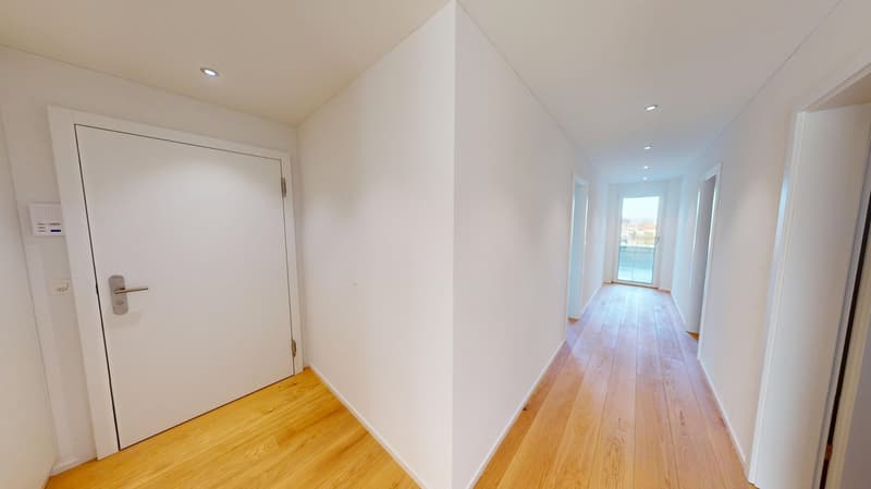 white walls, wooden floor, illuminated by ceiling lights, a closed door and a window