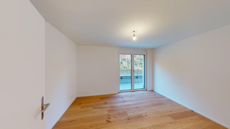 Empty room, white walls, wooden floor, double glass door, balcony