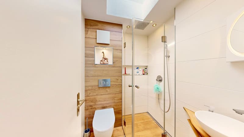 Zwei Wohnungen in einer: 7 Zimmer, Sauna und zwei Balkone gegen Süden (20)