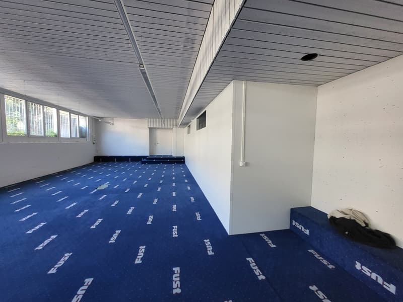empty room with blue carpet, white walls, windows, two benches