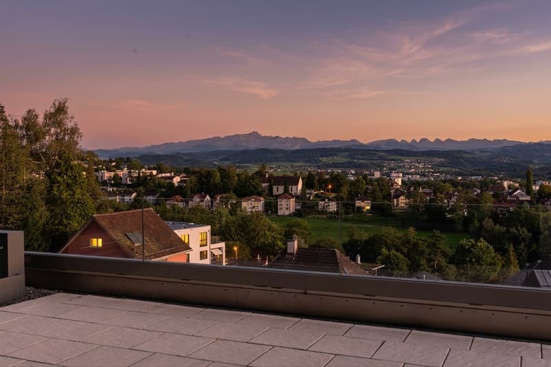 Wohnen am Hofberg – 5.5-Zimmer-Wohnung mit 121 m² Terrasse (4)