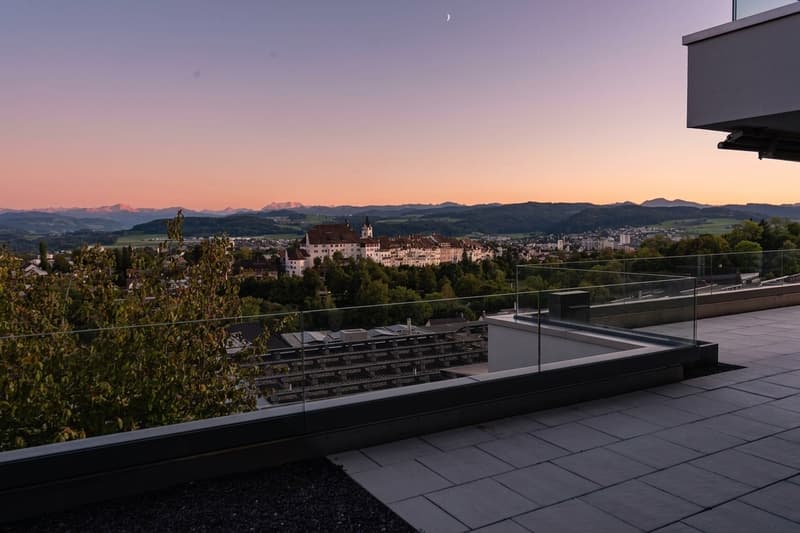 Wohnen am Hofberg – 5.5-Zimmer-Wohnung mit 121 m² Terrasse (10)