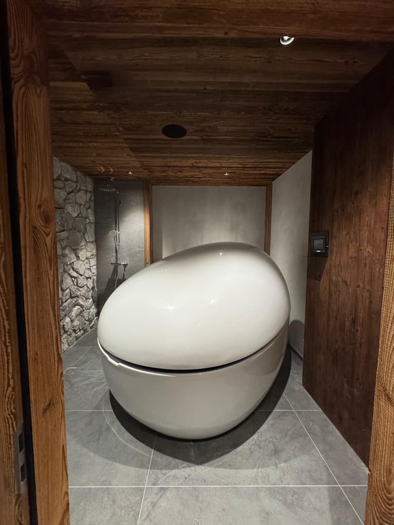 Rare attique sous les toits – Vue directe sur la Dent Blanche et le Cervin (14)