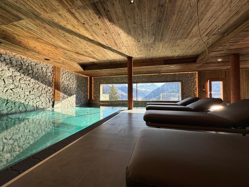 Rare attique sous les toits – Vue directe sur la Dent Blanche et le Cervin (11)