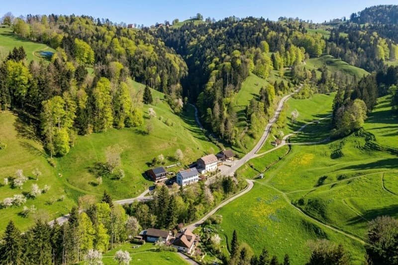 Freistehendes, kernsaniertes, vermietetes Zweifamilienhaus mit Waldgrundstück! (15)
