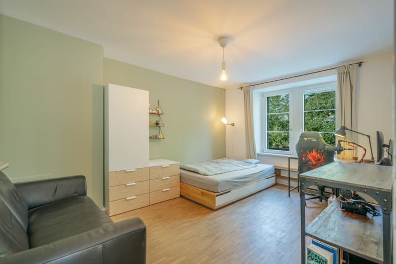 History, style, and nature - your residential jewel on the Reuss canal (15)