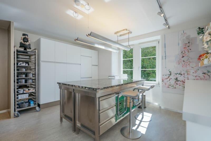 History, style, and nature - your residential jewel on the Reuss canal (16)