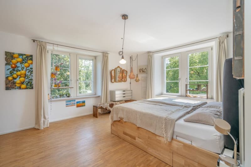 History, style, and nature - your residential jewel on the Reuss canal (20)