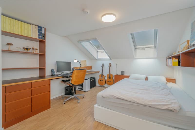 History, style, and nature - your residential jewel on the Reuss canal (23)