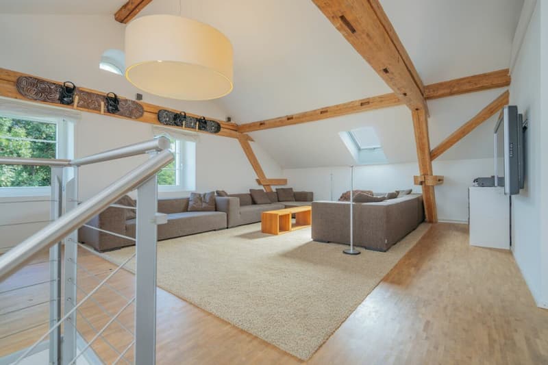 History, style, and nature - your residential jewel on the Reuss canal (22)