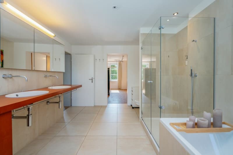 History, style, and nature - your residential jewel on the Reuss canal (19)