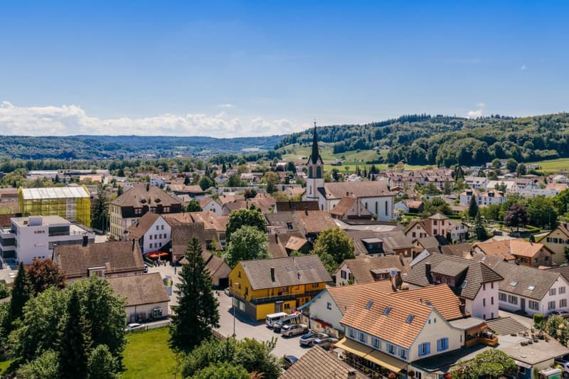 Wohn- und Geschäftshaus an zentraler Lage in Erlinsbach (2)