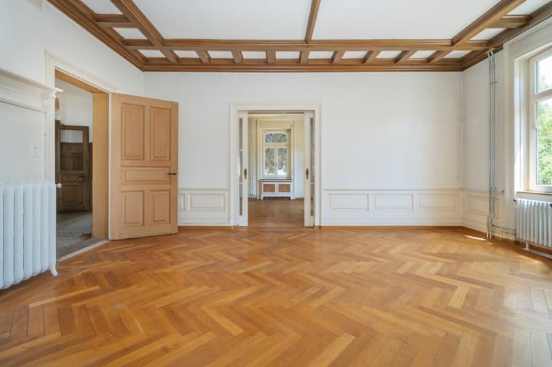 Villa Dreifuss - Wo Geschichte ein neues Kapitel schreibt (5)
