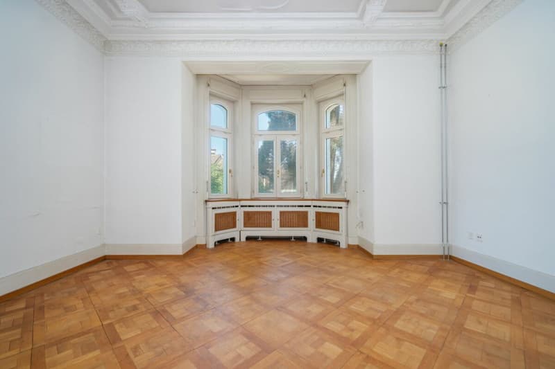Villa Dreifuss - Wo Geschichte ein neues Kapitel schreibt (7)