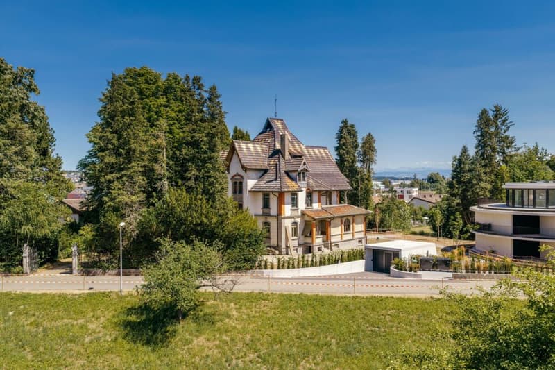Villa Dreifuss - Wo Geschichte ein neues Kapitel schreibt (1)