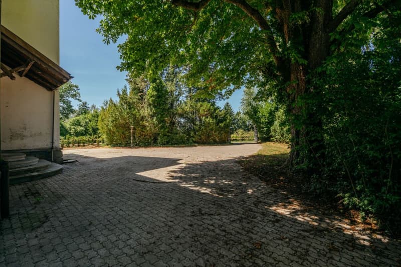 Villa Dreifuss - Wo Geschichte ein neues Kapitel schreibt (3)