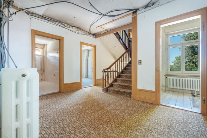 Villa Dreifuss - Wo Geschichte ein neues Kapitel schreibt (15)