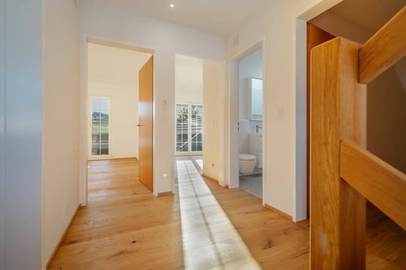 Freistehendes 6½-Zimmer Einfamilienhaus mit Wintergarten und viel Umschwung (9)