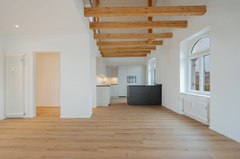 Charmante 5-Zimmer-Maisonettewohnung mit Galerie, Dachterrasse und Loggia (13)