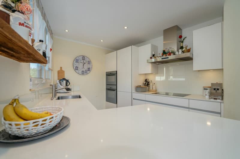 Modernes Wohnen mit Weitblick - 4½-Zimmer-Doppeleinfamilienhaus mit grossem Garten und viel Privatsphäre (6)